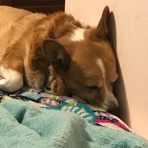 Meet your Posher, Mia